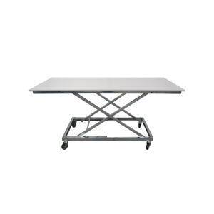 table ergonomique économique